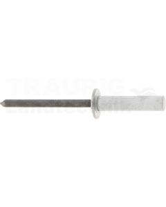 VPE500 Flachkopf-Dicht-Blindniete 4,8x21