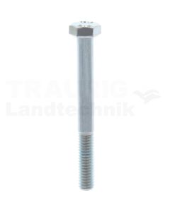 VPE100 Sechskantschraube M6x55 DIN 931