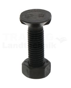 Pflugschraube M12x45-10.9 VPE12