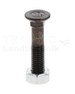 Pflugschraube M10x50-10.9