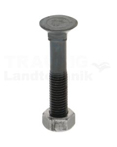 Pflugschraube M12x70-10.9