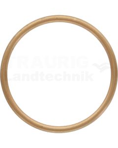 VPE20 Füll-Dichtring 38x44x2,5 DIN 7603