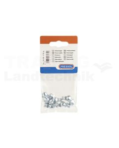 VPE5 Schmiernippel 45 G 1/8''