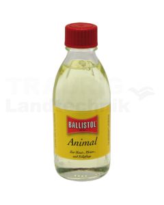 Animal