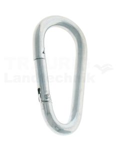 Karabiner 