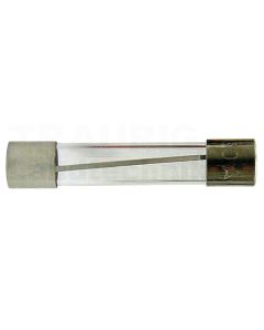 Glassicherung 5A