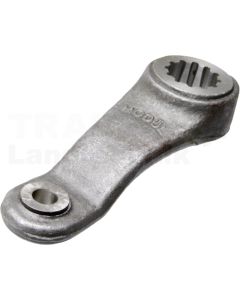 Arm