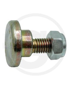 VPE25 Klingenschraube