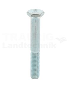 Sechskantschraube M12x88