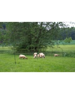 Wolfsabwehrnetz