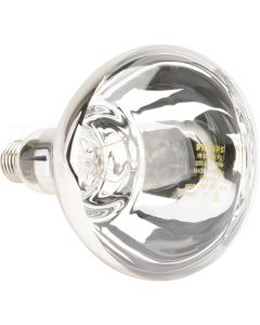 Infrarotlampe