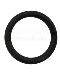 O-Ring 3/4″ DN20-BG4