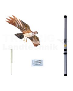 Vogelscheuchendrache