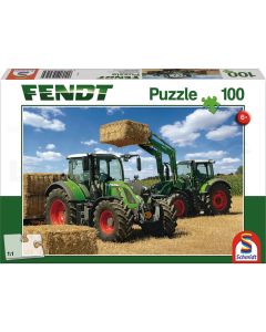 Puzzle, 100 Teile