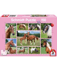 Puzzle 150 Teile Pferdeträume