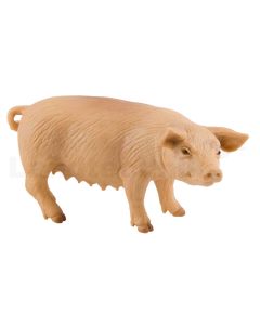 Mutterschwein