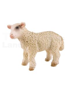 Lamm