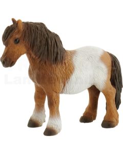 Shetlandpony