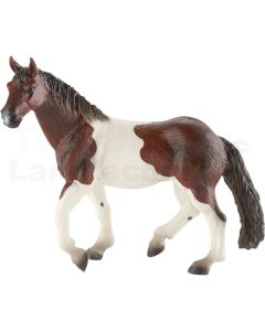 Paint Horse Stute