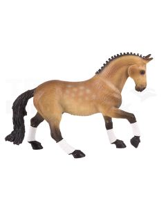 Trakehner Wallach