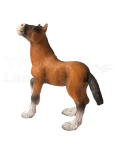 Shire Horse Fohlen