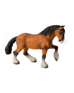 Shire Horse Wallach
