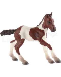 Paint Horse Fohlen