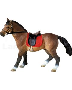 Hannoveraner Hengst