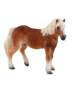 Haflinger Stute