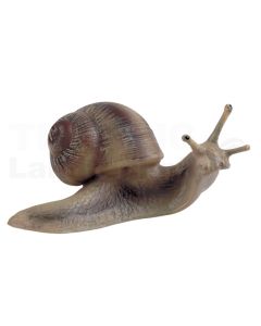 Weinbergschnecke