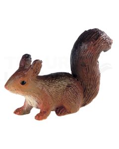 Eichhörnchen