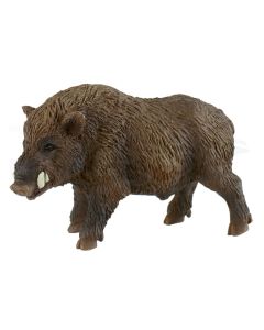 Wildschwein