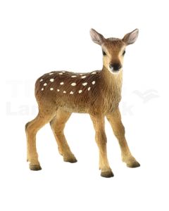 Hirsch Kalb