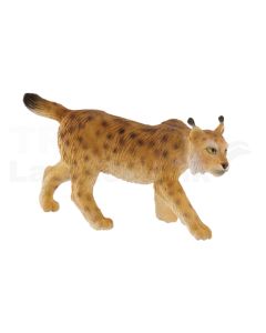 Luchs