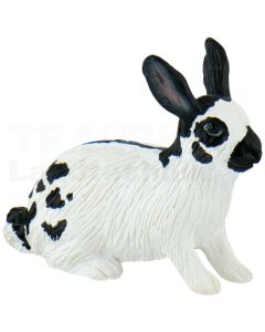 Hase