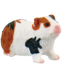 Meerschweinchen