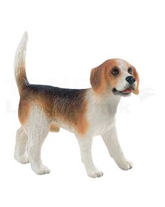 Beagle Henry