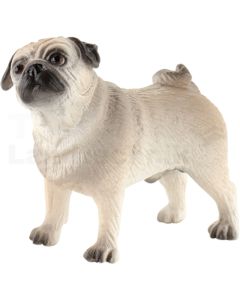 Mops Percy