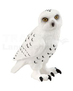 Schnee-Eule