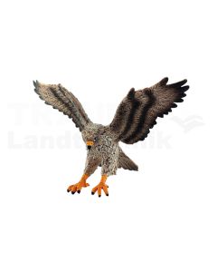 Mäusebussard