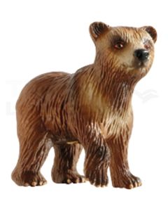 Braunbär Junges