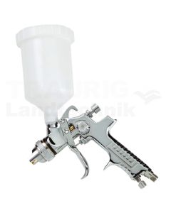 Farbspritzpistole
