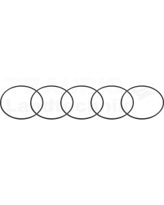 Viton Dichtring-Satz