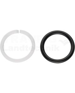 Stuetzring und O-Ring