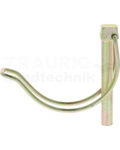 Federsplint