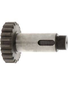 Ritzel