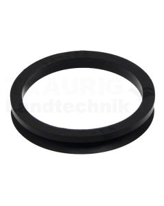 V-Ring