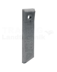 Zetterzinken