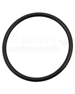 O-Ring
