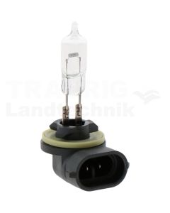 Glühlampe H50/2